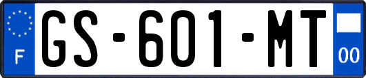 GS-601-MT