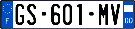GS-601-MV