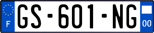 GS-601-NG