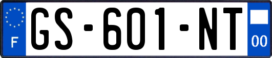 GS-601-NT