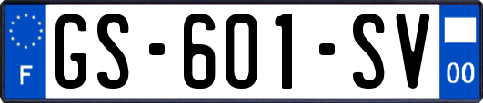 GS-601-SV
