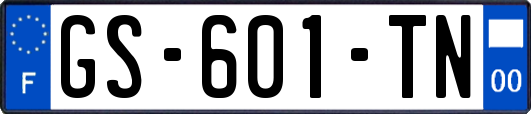 GS-601-TN
