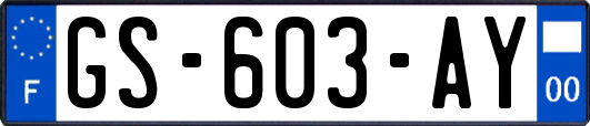 GS-603-AY