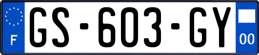 GS-603-GY