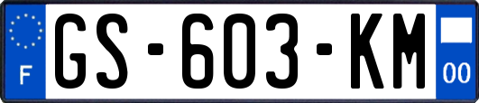 GS-603-KM