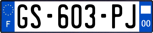 GS-603-PJ