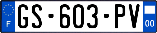 GS-603-PV
