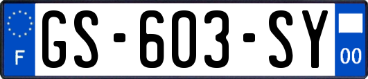 GS-603-SY
