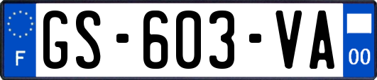GS-603-VA