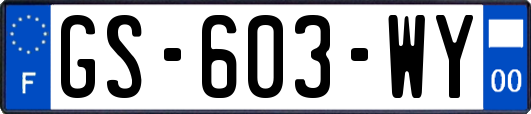 GS-603-WY