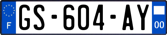 GS-604-AY