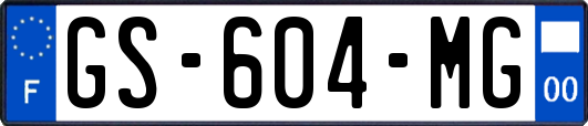 GS-604-MG