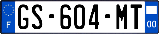 GS-604-MT