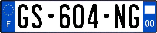 GS-604-NG