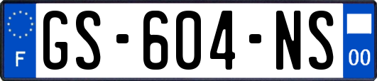 GS-604-NS