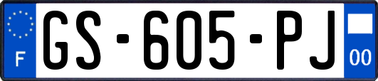 GS-605-PJ