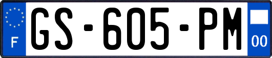 GS-605-PM