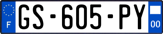 GS-605-PY