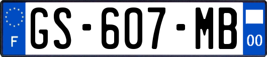 GS-607-MB