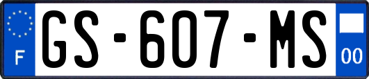 GS-607-MS