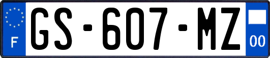 GS-607-MZ