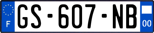 GS-607-NB