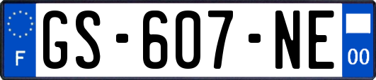 GS-607-NE