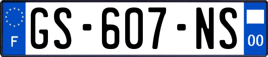 GS-607-NS