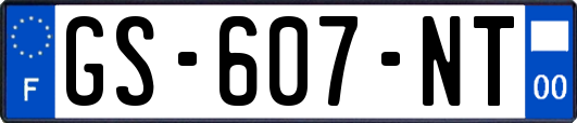 GS-607-NT