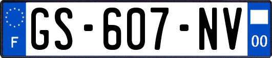 GS-607-NV