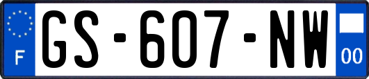 GS-607-NW