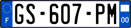 GS-607-PM
