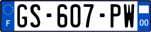 GS-607-PW