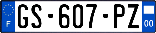 GS-607-PZ