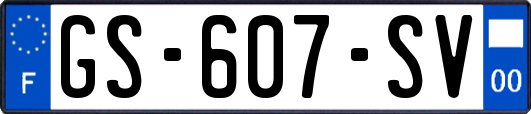 GS-607-SV