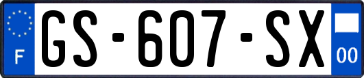 GS-607-SX