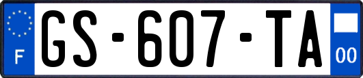 GS-607-TA