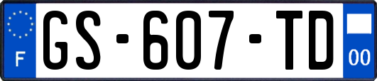 GS-607-TD