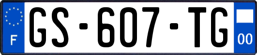GS-607-TG