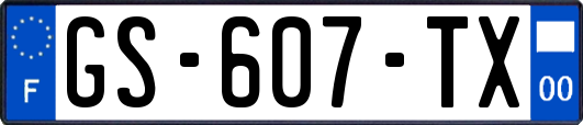 GS-607-TX