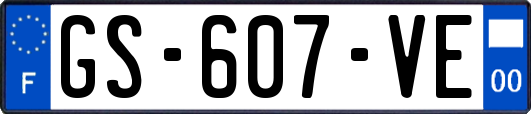 GS-607-VE