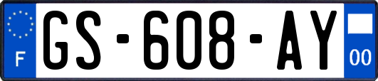 GS-608-AY