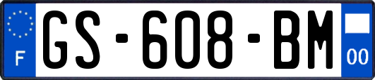 GS-608-BM