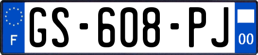 GS-608-PJ