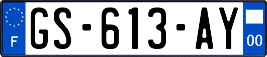 GS-613-AY