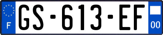 GS-613-EF