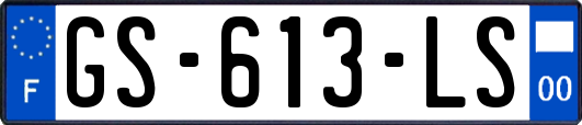 GS-613-LS