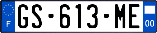 GS-613-ME