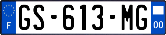 GS-613-MG