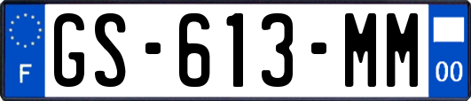 GS-613-MM